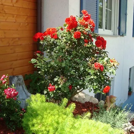 Ferienwohnung Weiser Kressbronn am Bodensee Exterior foto